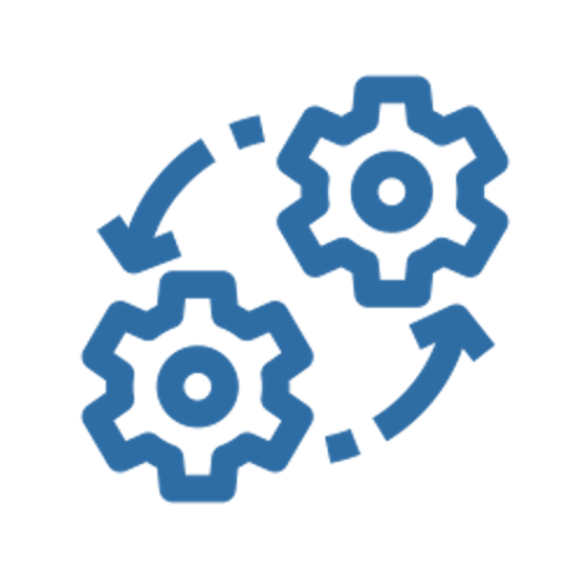 SAP Project & AMS Support